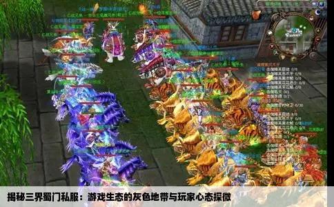 揭秘三界蜀门私服：游戏生态的灰色地带与玩家心态探微