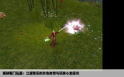 揭秘蜀门私服：江湖背后的灰色地带与玩家心态探究