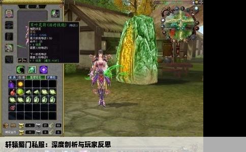 轩辕蜀门私服：深度剖析与玩家反思