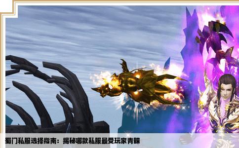 蜀门私服选择指南：揭秘哪款私服最受玩家青睐